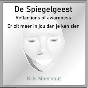 Reflections of Awareness, de Spiegelgeest