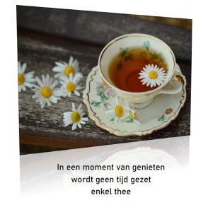 Reflections of awareness, De Levensgids II