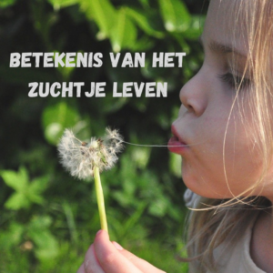 Betekenis van het leven