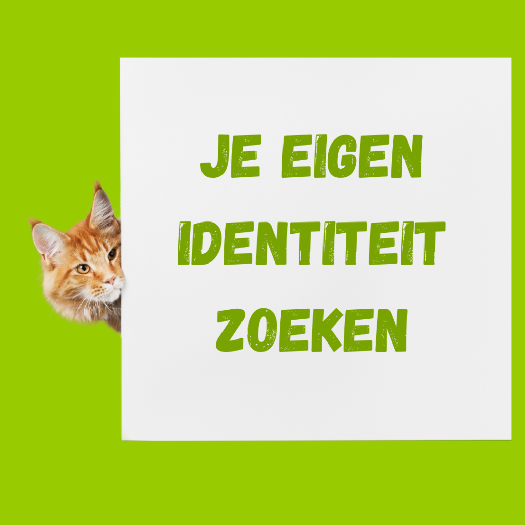 personal trainer eigenheid