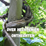 over hechten en onthechten