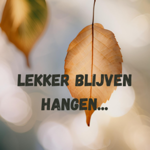 Omgaan met emoties